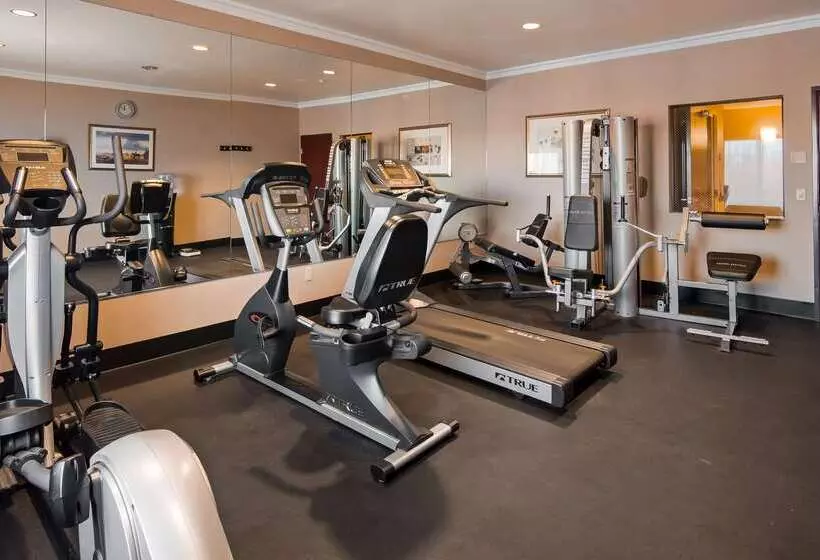 Surestay Plus Hotel By Best Western Yucca Valley Joshua Tree