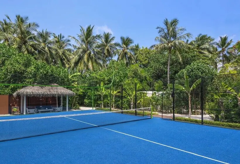 ホテル The Halcyon Private Isles Maldives, Autograph Collection
