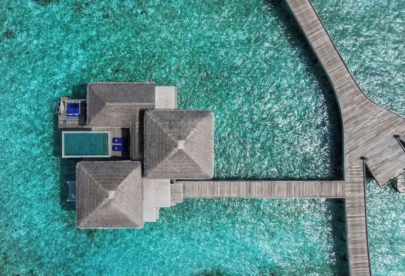 ホテル The Halcyon Private Isles Maldives, Autograph Collection