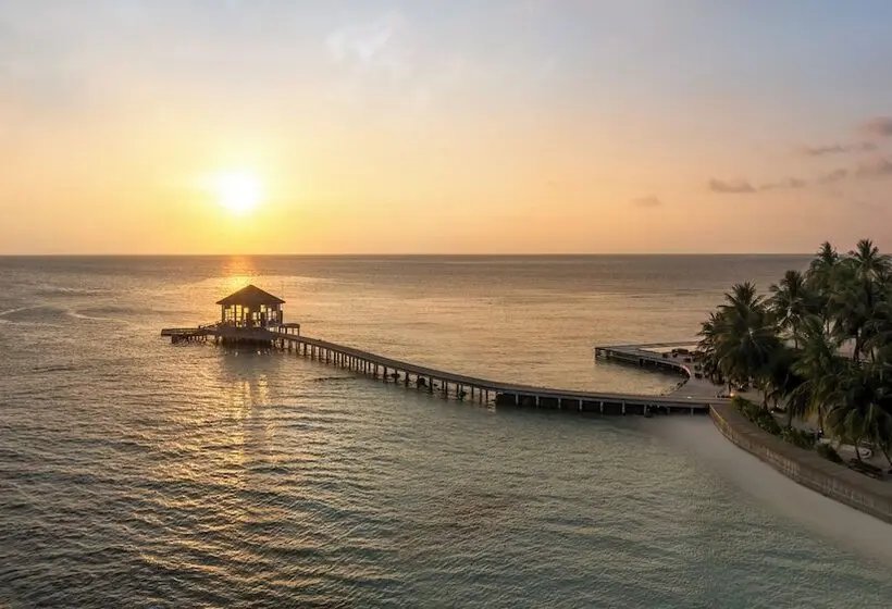 ホテル The Halcyon Private Isles Maldives, Autograph Collection