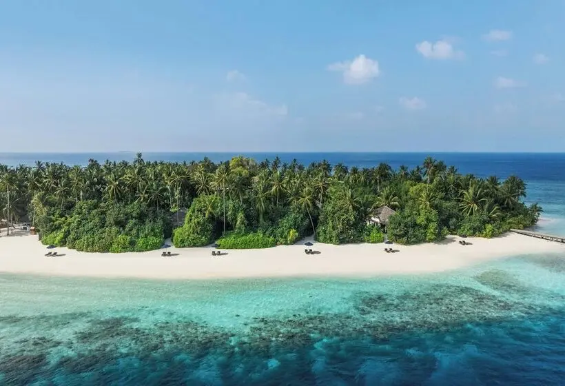 ホテル The Halcyon Private Isles Maldives, Autograph Collection
