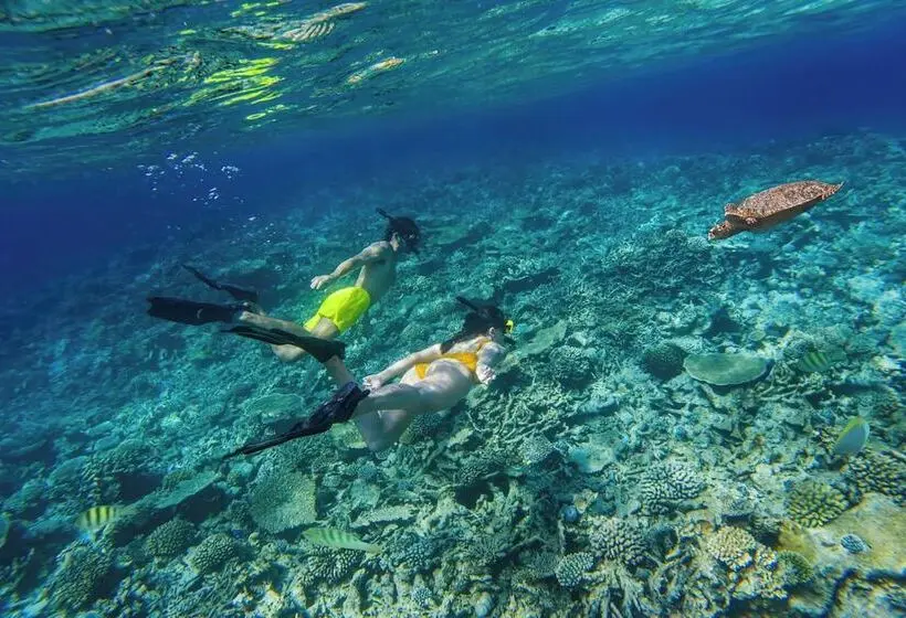 ホテル The Halcyon Private Isles Maldives, Autograph Collection
