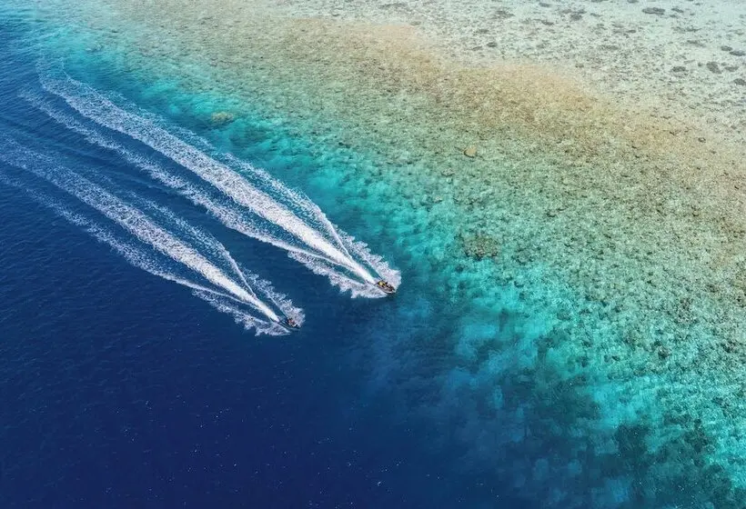 ホテル The Halcyon Private Isles Maldives, Autograph Collection