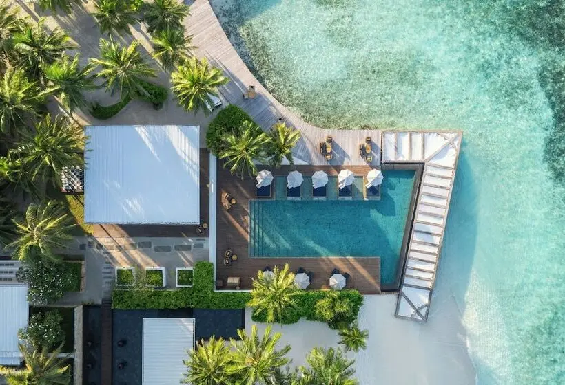 ホテル The Halcyon Private Isles Maldives, Autograph Collection