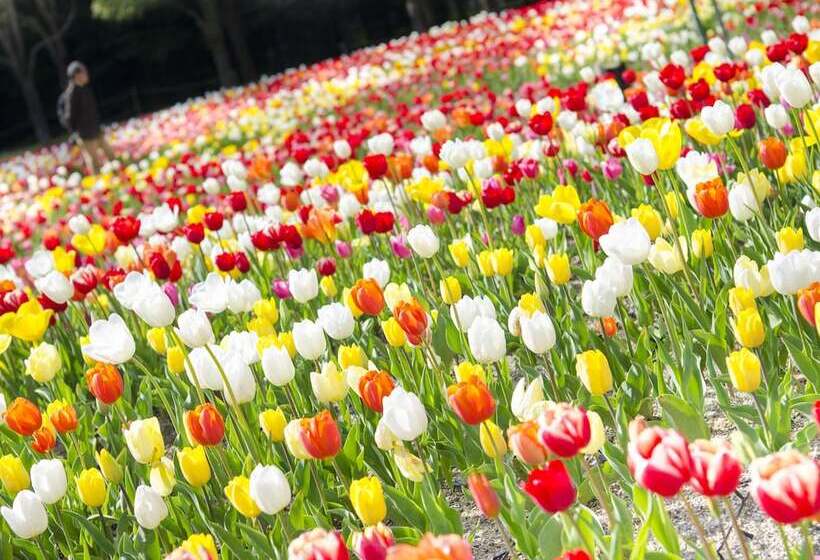 فندق Denhaag Huis Ten Bosch