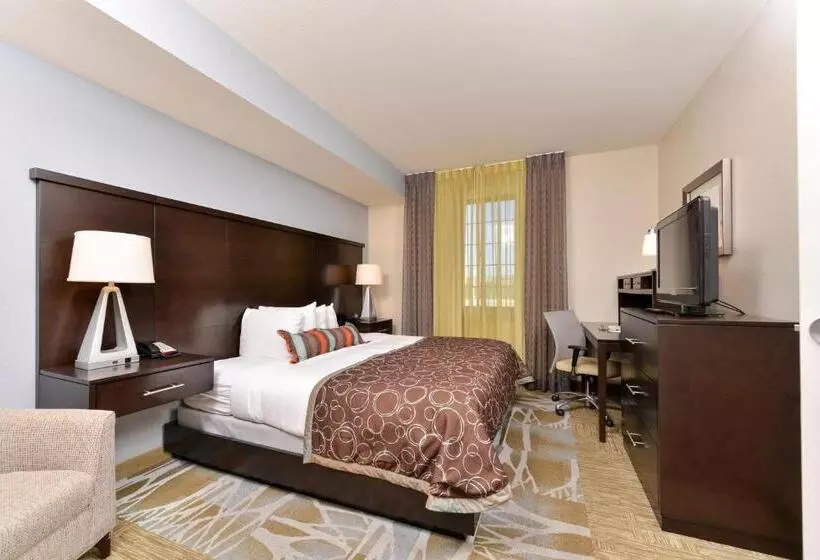 Staybridge Suites San Antonio Stone Oak, An Ihg