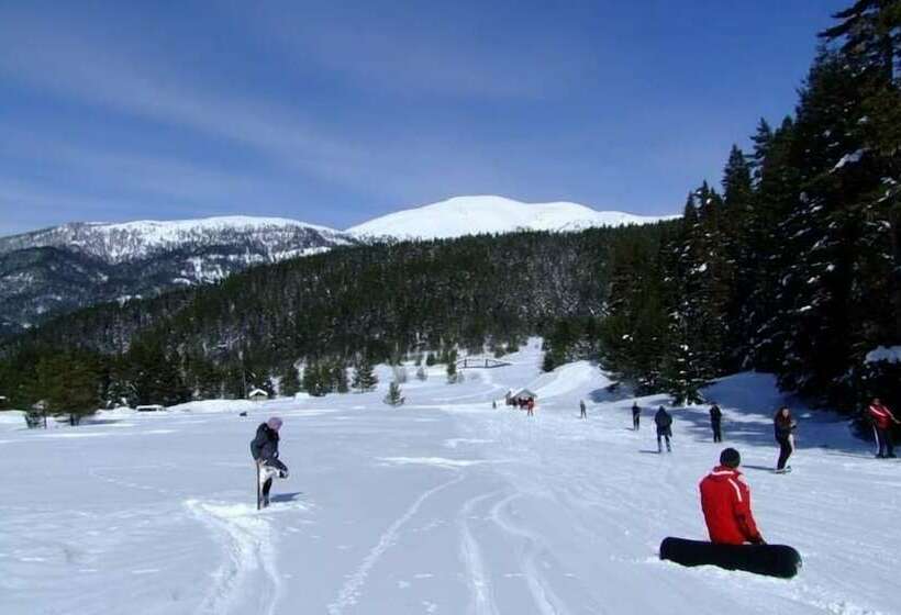 فندق Ilgaz Armar