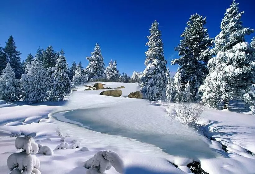 ホテル Ilgaz Armar