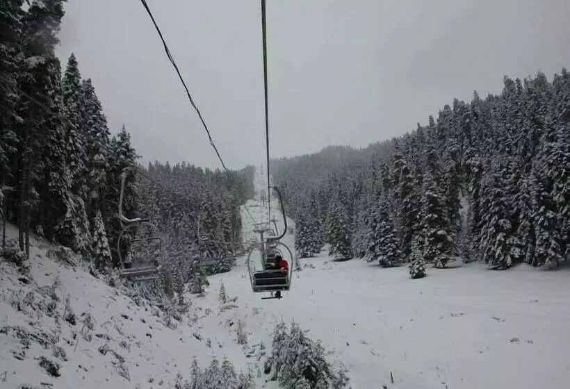 ホテル Ilgaz Armar