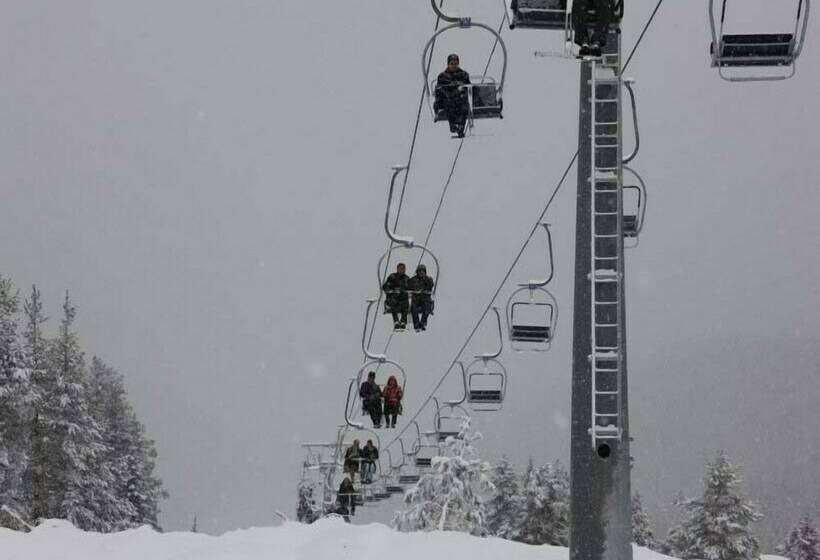 فندق Ilgaz Armar