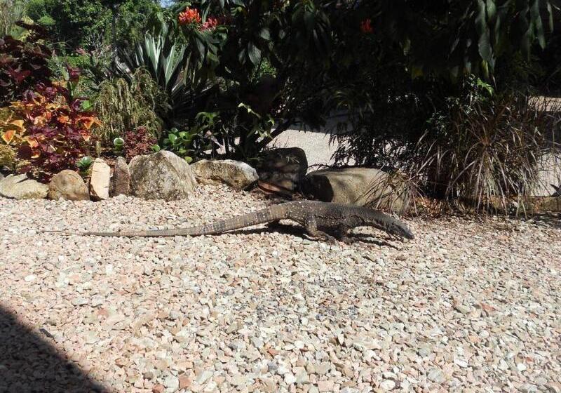 ホテル Licuala Lodge