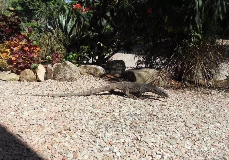 호텔 Licuala Lodge