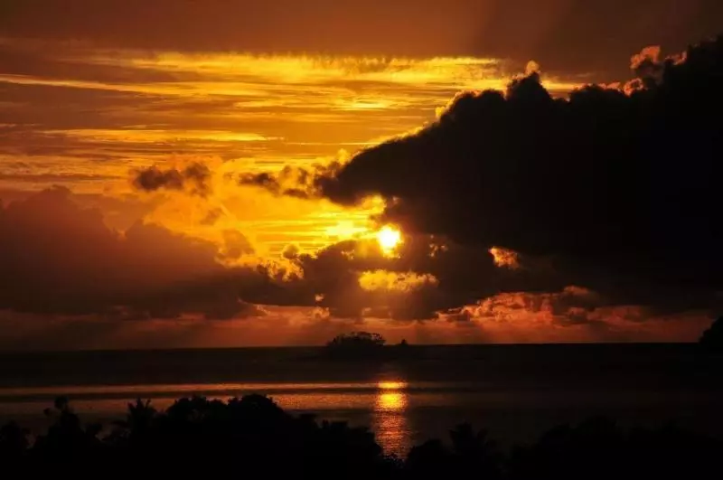 호텔 Licuala Lodge