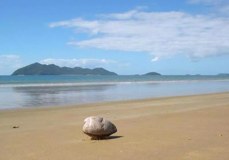 호텔 Licuala Lodge