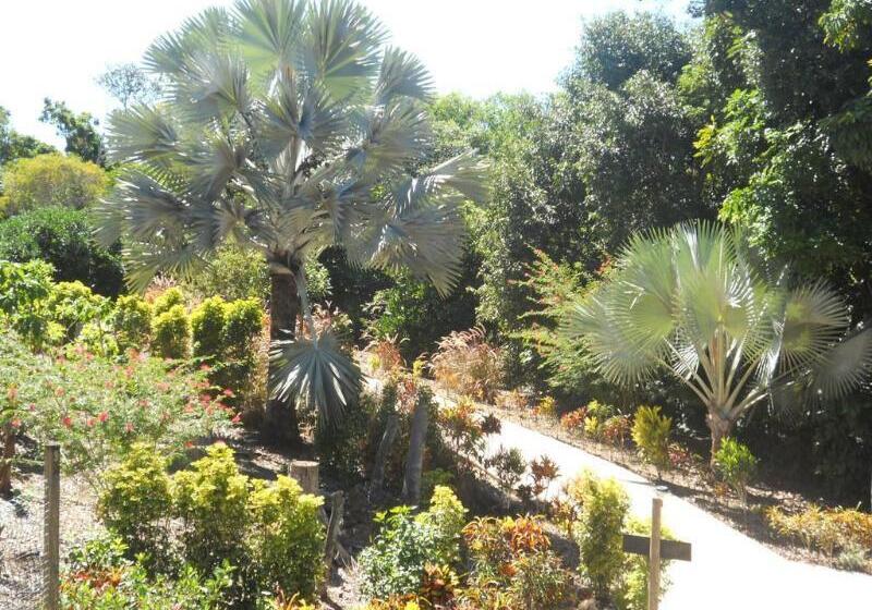 ホテル Licuala Lodge