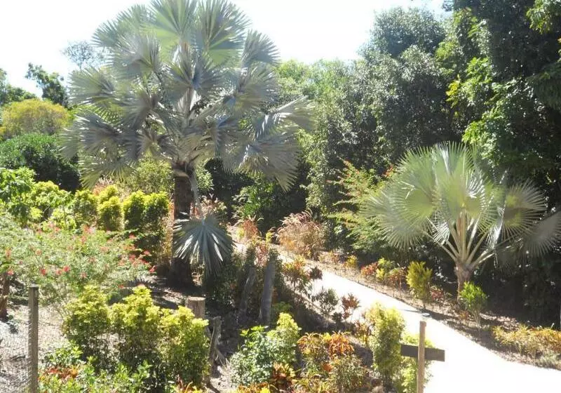 호텔 Licuala Lodge