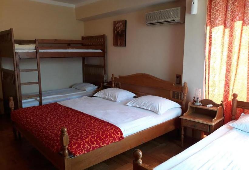 فندق Pensiunea Sydney