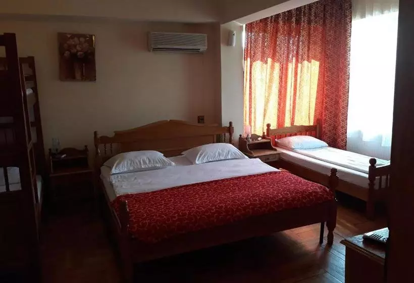 هتل Pensiunea Sydney