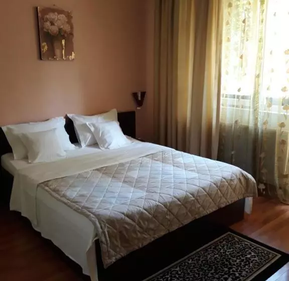 هتل Pensiunea Sydney