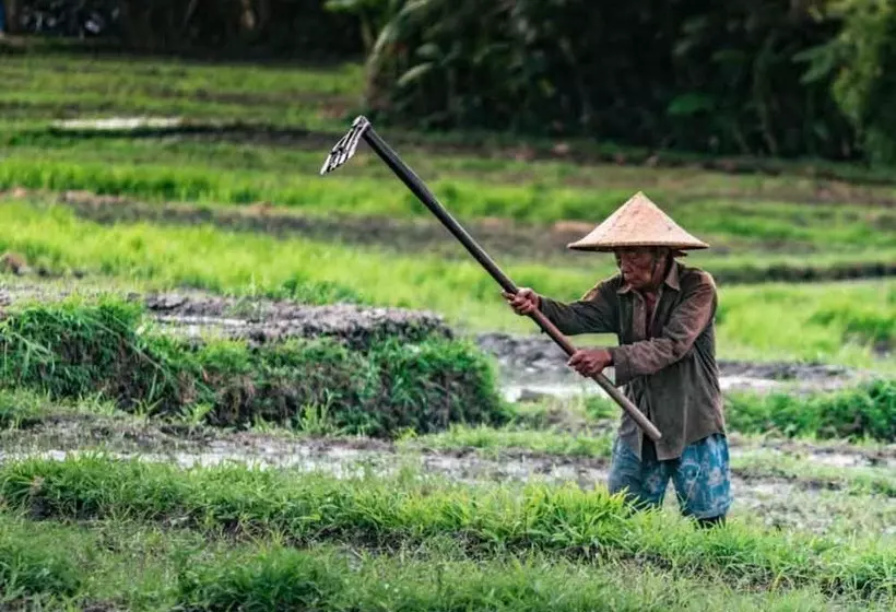酒店 Adi Jaya Cottages Ubud Suites By Eps Chse Certified