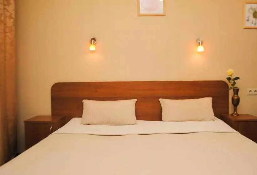 בית מלון כפרי Atmosphera Petrogradskiy