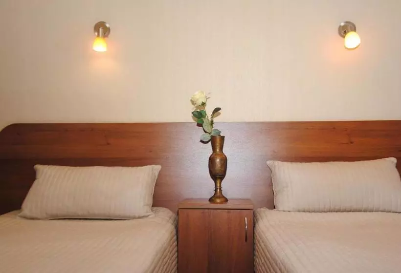 בית מלון כפרי Atmosphera Petrogradskiy