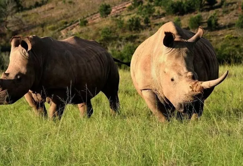 酒店 Botlierskop Private Game Reserve