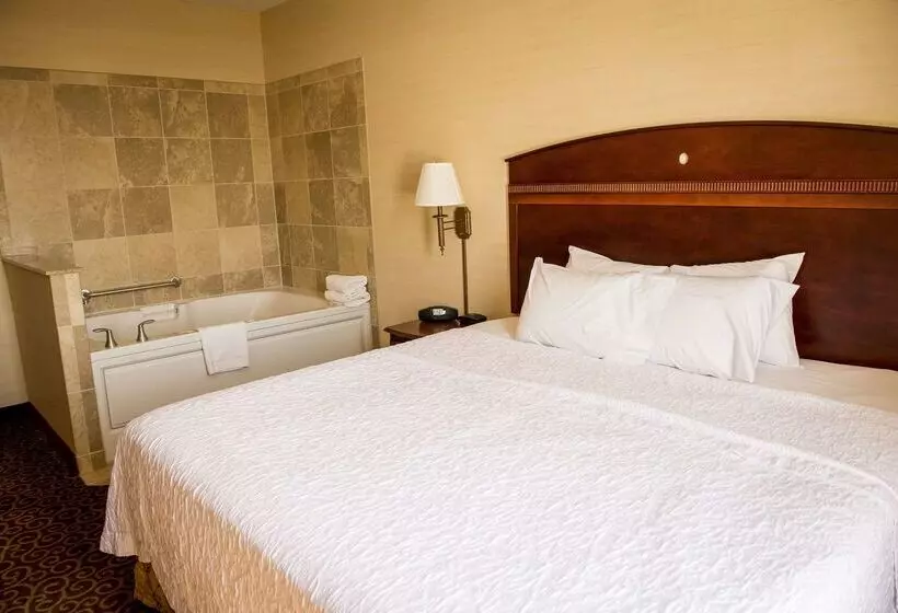 Отель Hampton Inn Plover/stevens Point