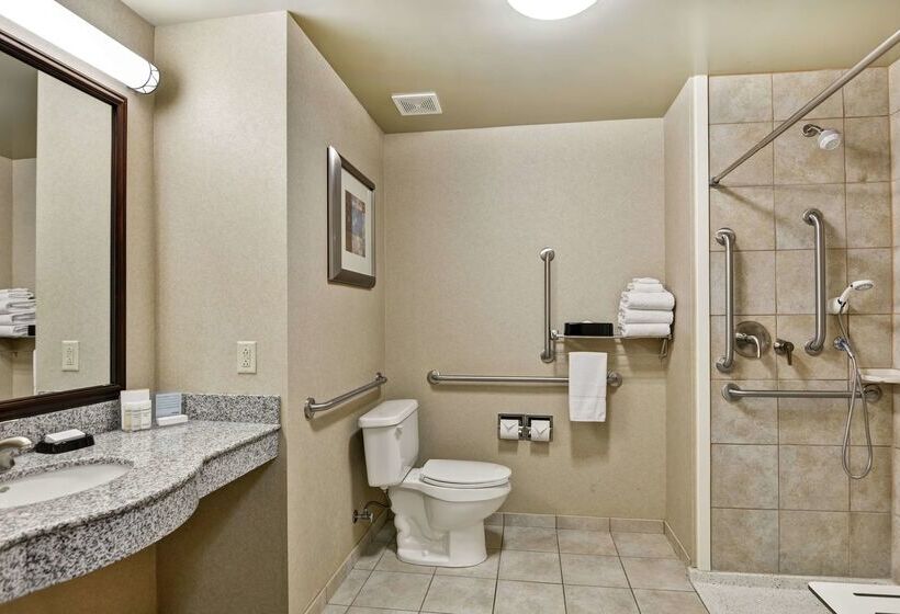 ホテル Hampton Inn Sayre