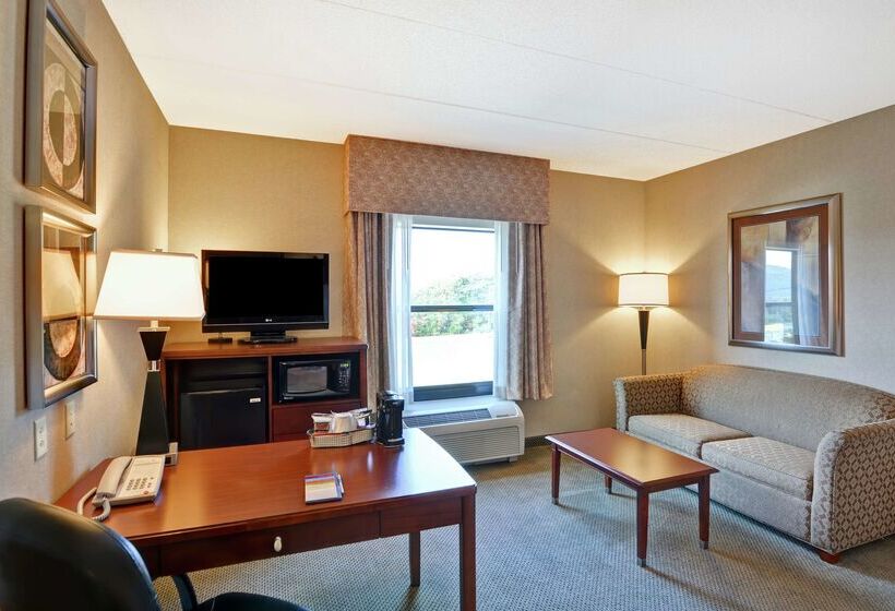 ホテル Hampton Inn Sayre