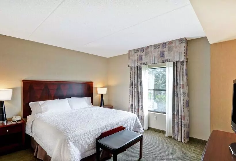 酒店 Hampton Inn Sayre