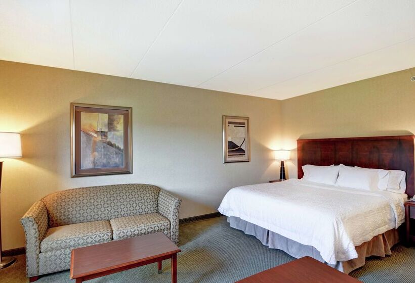 ホテル Hampton Inn Sayre