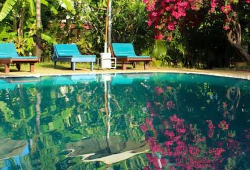 Patong Palace Hotel   Sha Extra Plus