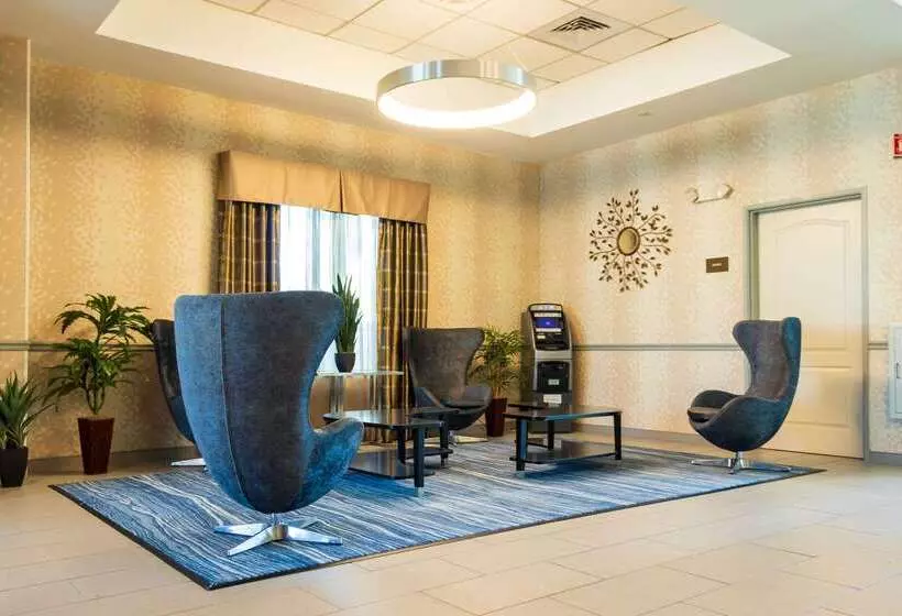 فندق Comfort Inn & Suites Plainvillefoxboro