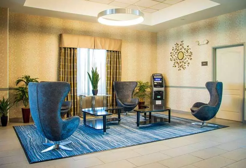 فندق Comfort Inn & Suites Plainvillefoxboro