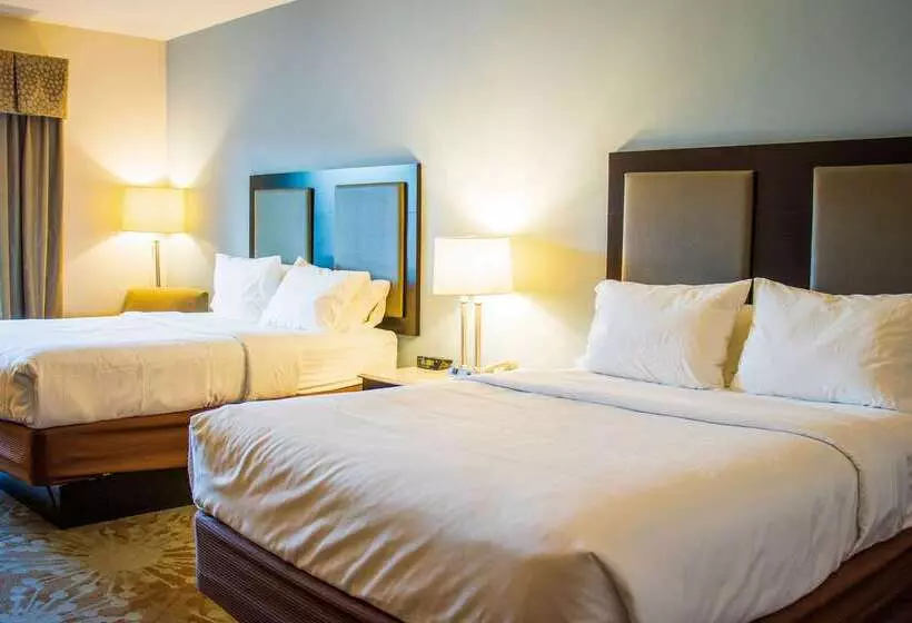 فندق Comfort Inn & Suites Plainvillefoxboro