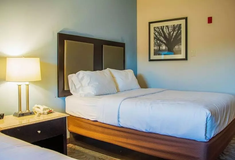 فندق Comfort Inn & Suites Plainvillefoxboro