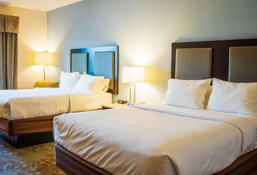 فندق Comfort Inn & Suites Plainvillefoxboro
