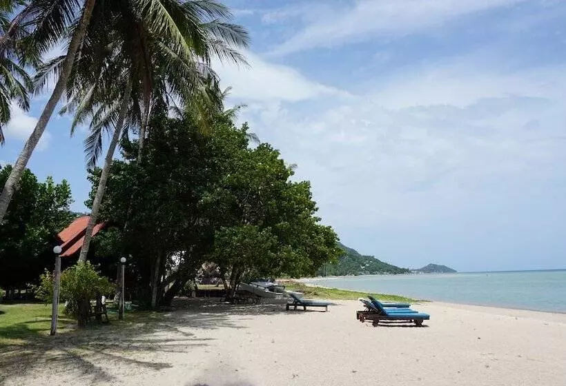 בית מלון כפרי Morning Star Resort