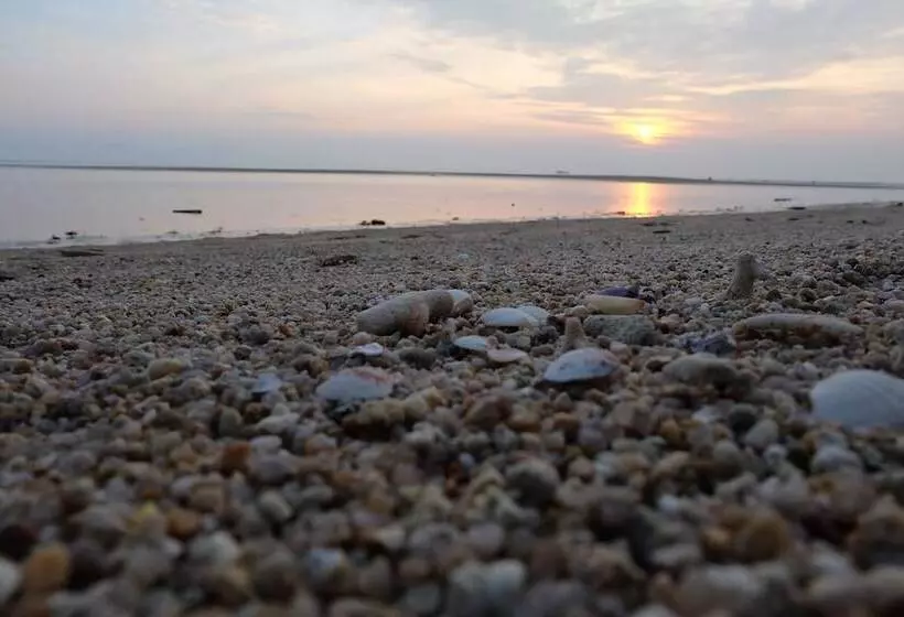 בית מלון כפרי Morning Star Resort