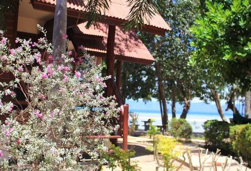 בית מלון כפרי Morning Star Resort