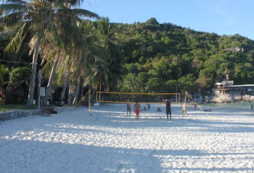 فندق Tommy Resort