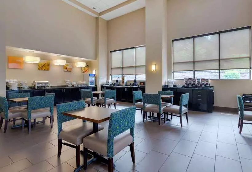 酒店 Comfort Suites