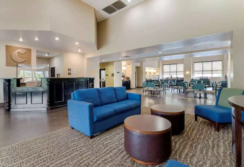 酒店 Comfort Suites