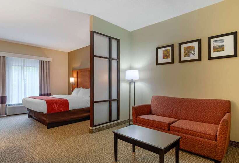 호텔 Comfort Suites