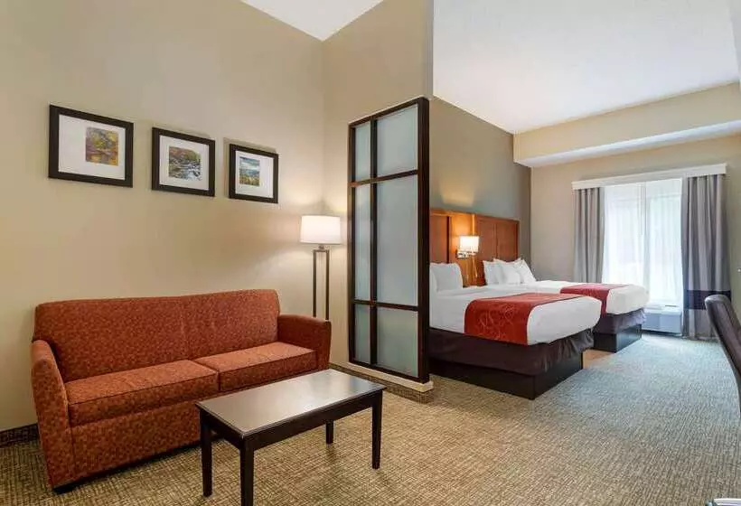 酒店 Comfort Suites