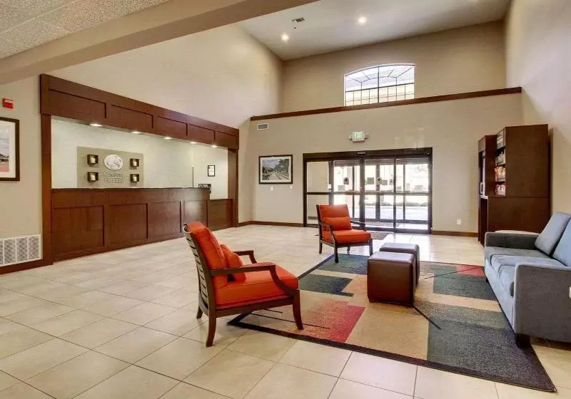 호텔 Comfort Suites Tyler South