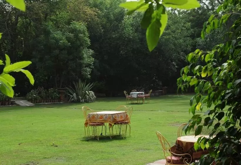 בית מלון כפרי Diggi Palace Jaipur A City Center Hidden Heritage Gem