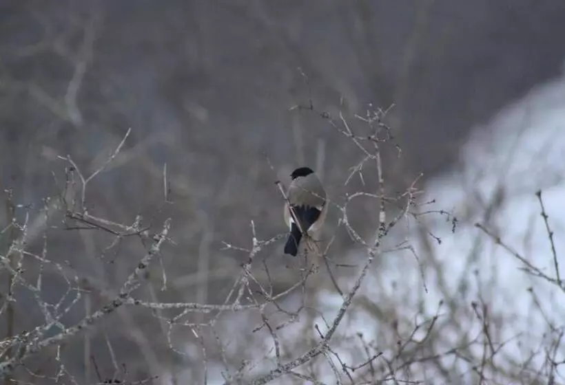 酒店 Furulund Pensjonat