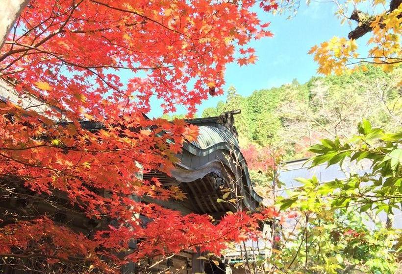 בית מלון כפרי Henjokoin